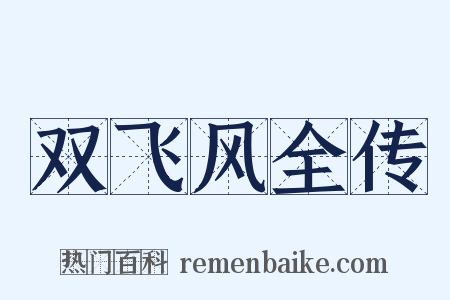 双飞风全传是什么意思的图片